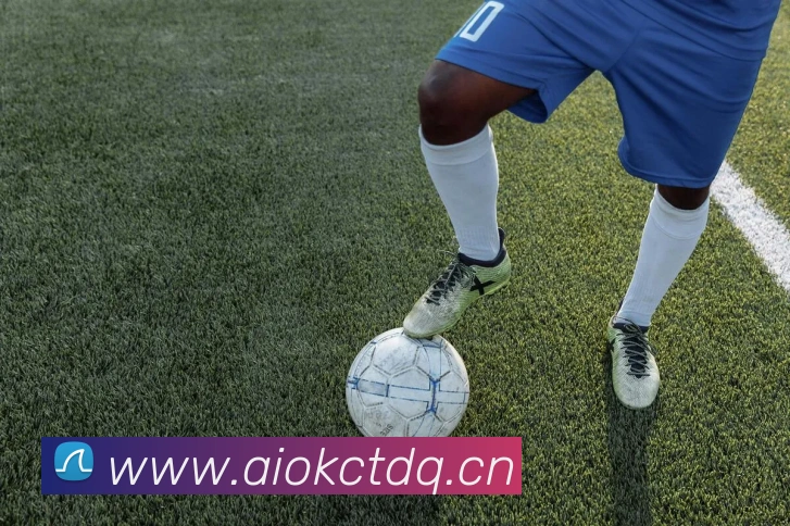 星空网官网首页入口平台生态图